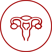 HSG Test Icon