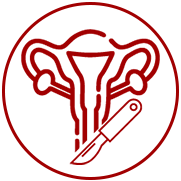 Reproductive Surgery Icon